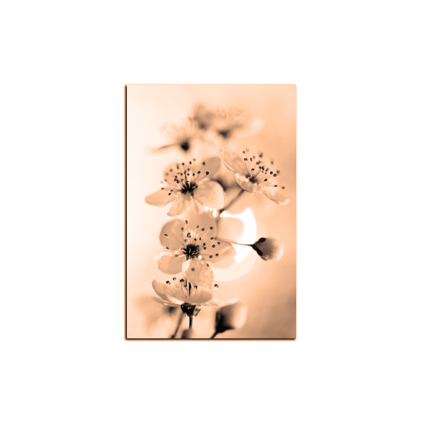 Obraz na plátně - Malé květy na větvi - obdélník